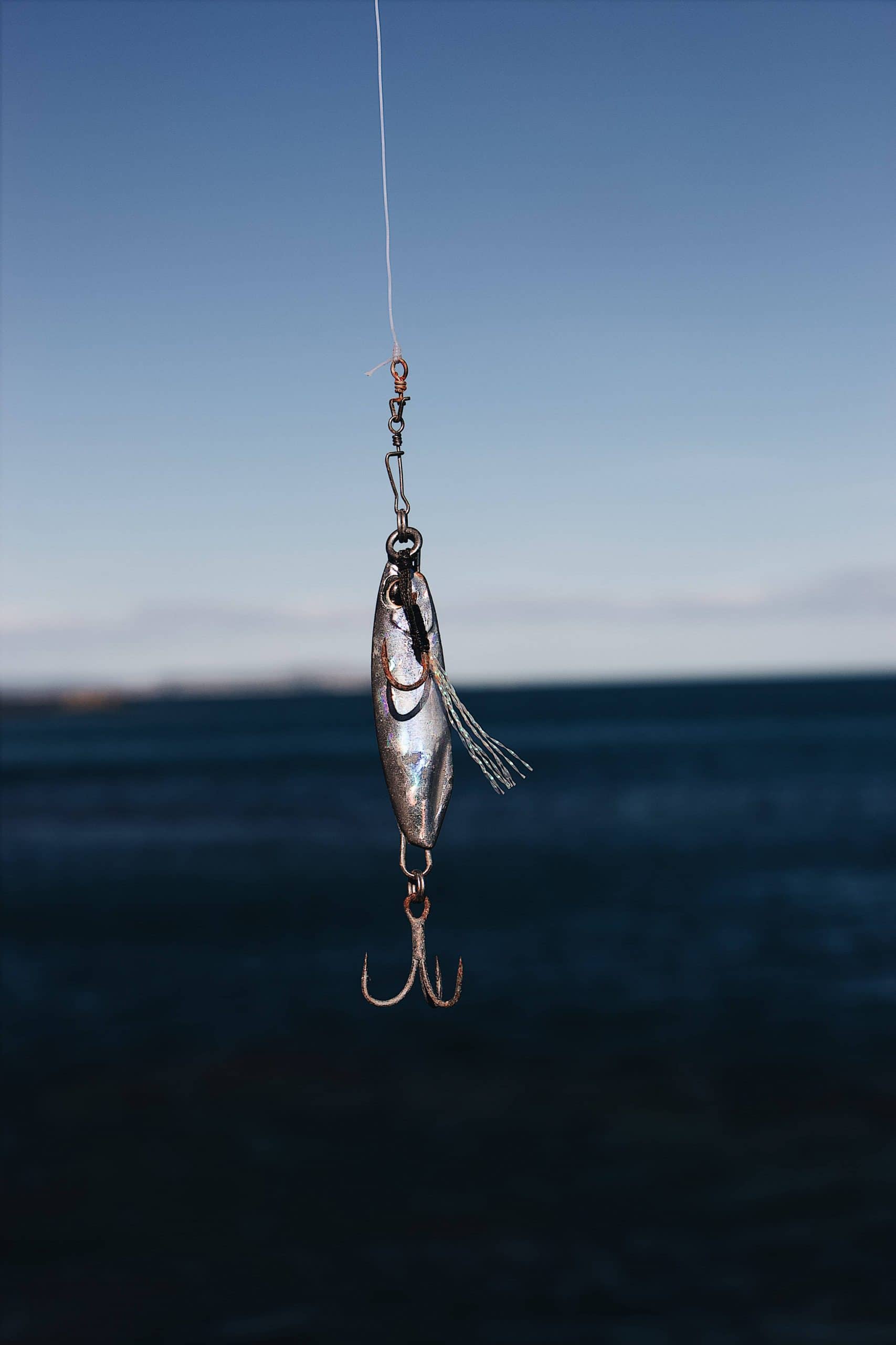 1 CANNE, 1 LEURRE DES POISSONS ? Que pêche-t-on en mer des