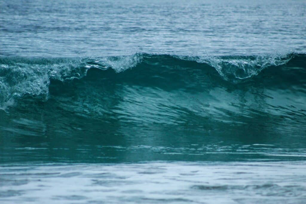 courants marins